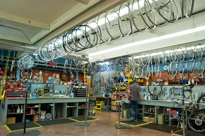 Mike's Bikes of Sacramento Picture 4