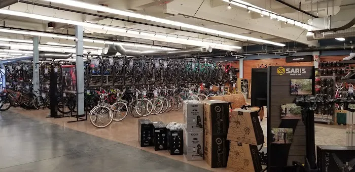Mike's Bikes of Sacramento Picture 9