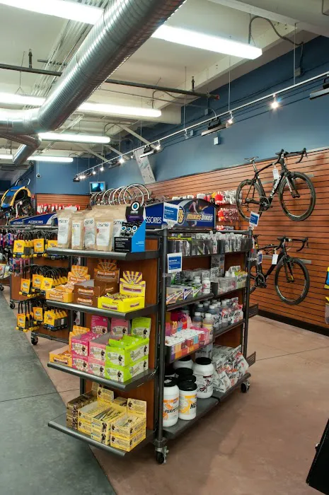 Mike's Bikes of Sacramento Picture 5