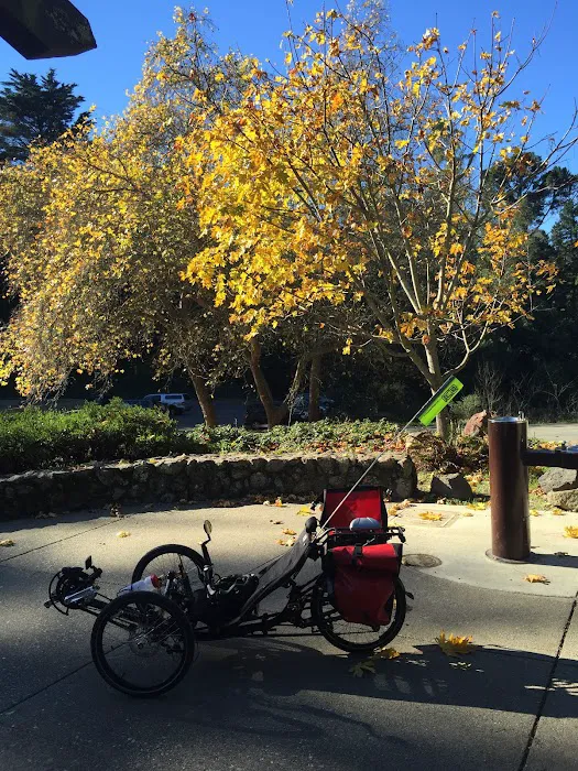 Alphabent Recumbent Cycles (PBW) Picture 4
