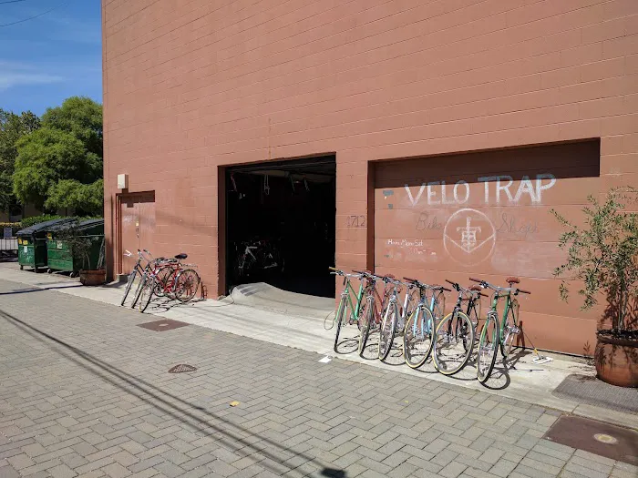 Velo Trap Picture 2