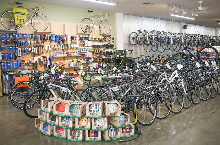 Trek Bicycle Sacramento Midtown Picture 2