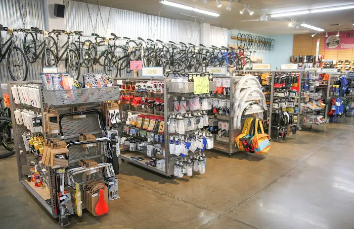 Trek Bicycle Sacramento Midtown Picture 4