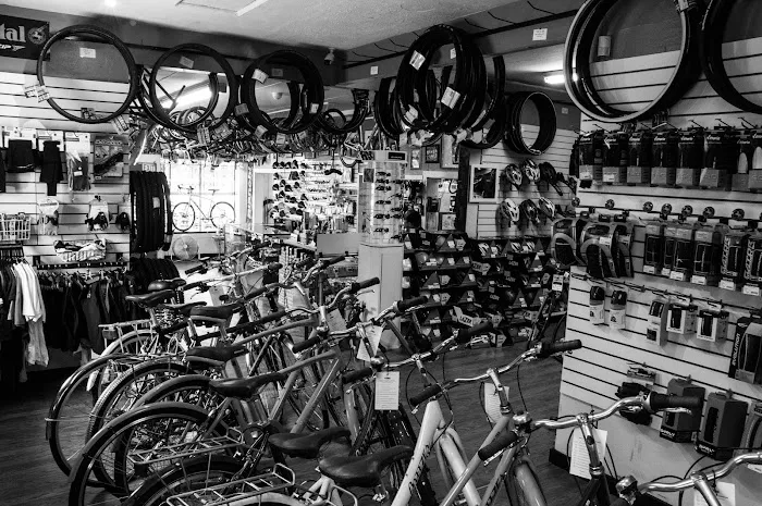 The Bicycle Business Picture 3