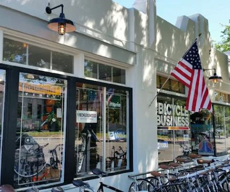 The Bicycle Business