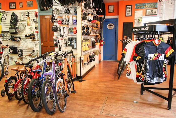 The Bicycle Business Picture 2