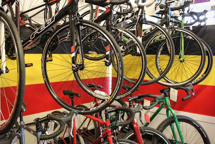 The Bicycle Business Picture 5