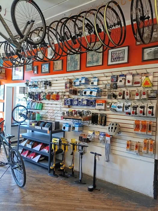 The Bicycle Business Picture 10