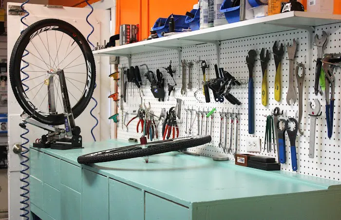 The Bicycle Business Picture 9