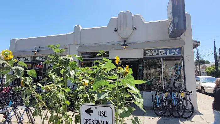 The Bicycle Business Picture 8