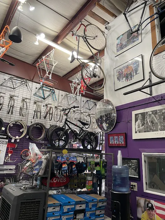 Sutterville Bicycle Company Picture 5