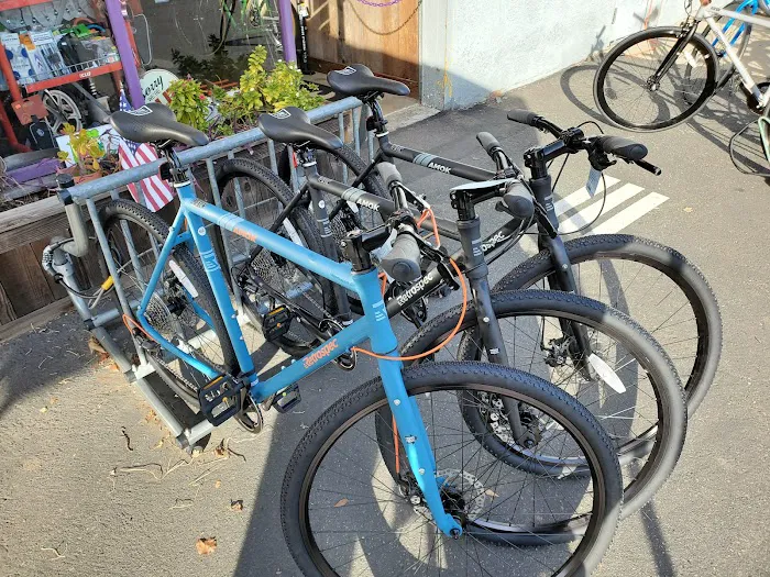 Sutterville Bicycle Company Picture 10