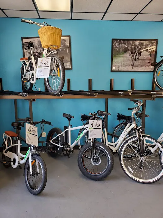 The Electric Bike Shop Picture 1