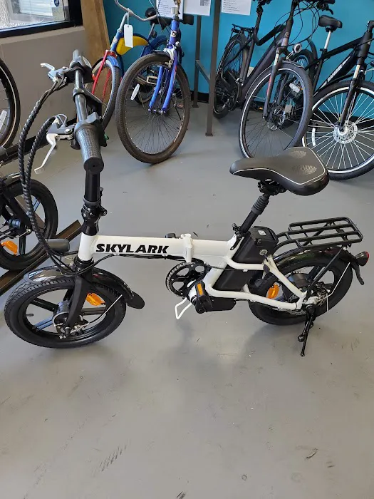 The Electric Bike Shop Picture 6