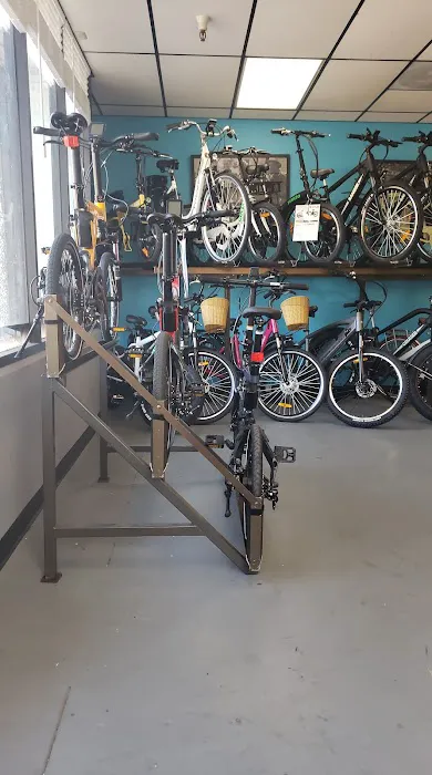 The Electric Bike Shop Picture 8