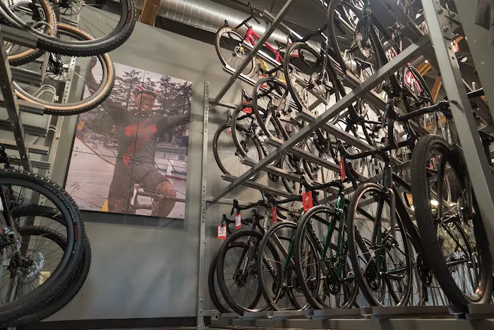 Kinetic Cycles Picture 3