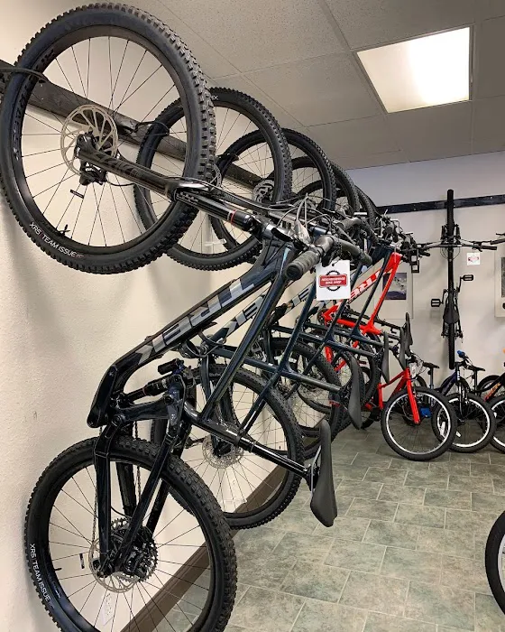 Neighborhood Bike Shop - La Riviera Picture 1