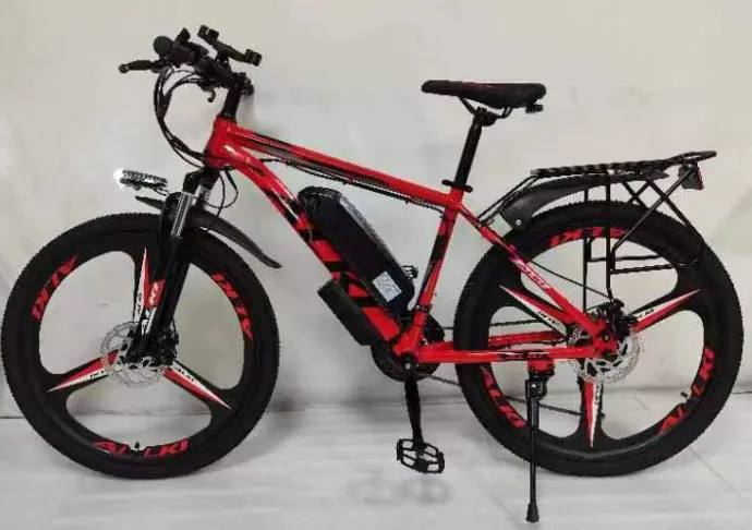 Alki E-Bikes Picture 1