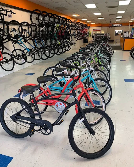 Neighborhood Bike Shop - Carmichael Picture 5