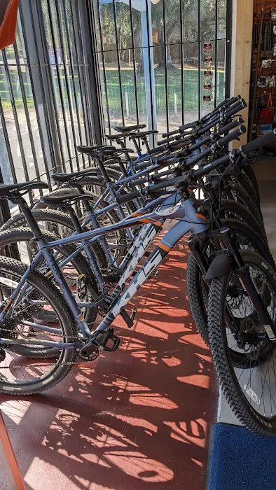 River Rat MTN. Bikes Picture 5