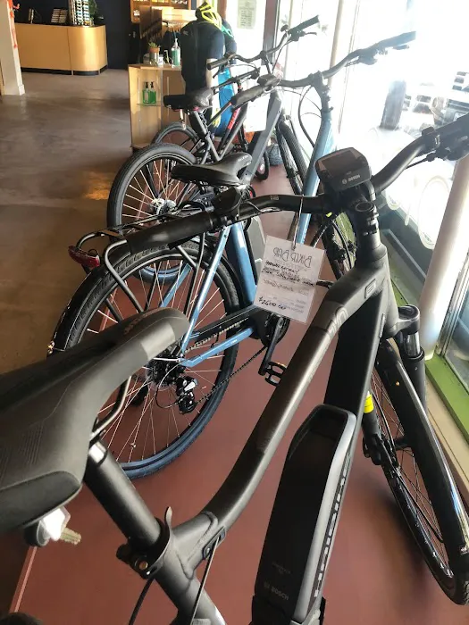 Shocking Rides Electric Bikes Picture 1