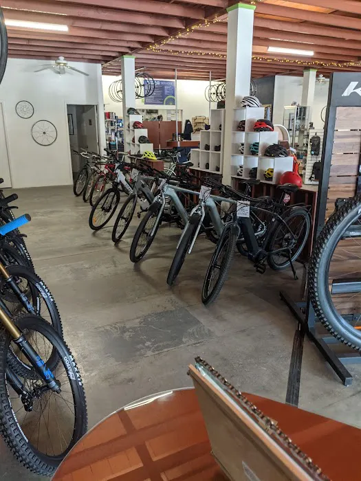 Shocking Rides Electric Bikes Picture 4