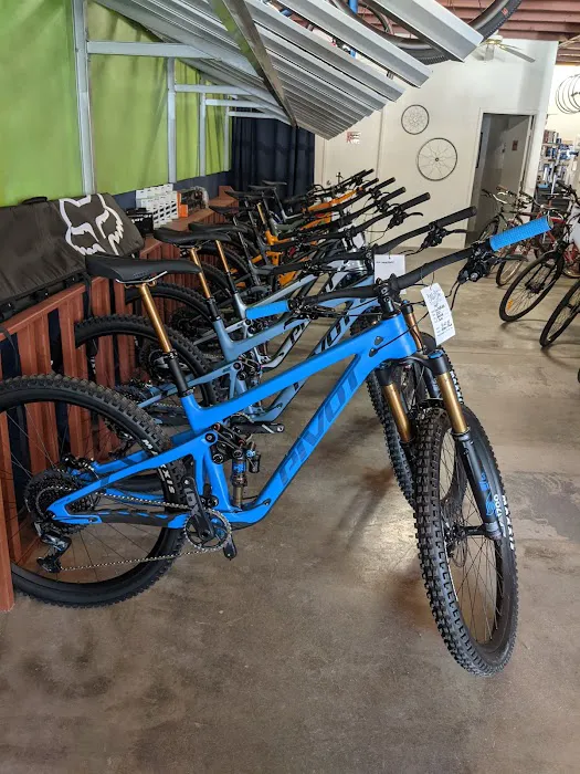 Shocking Rides Electric Bikes Picture 3