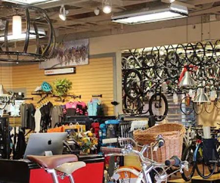 Mike's Bikes of Folsom