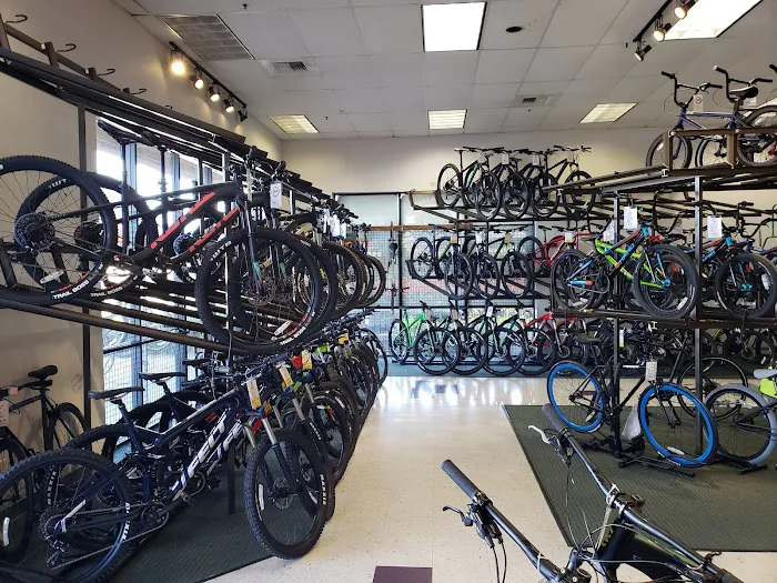 Bob's Cycle Center Picture 6