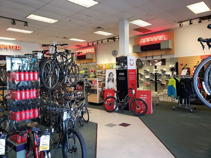 Bob's Cycle Center Picture 8