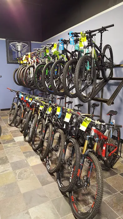 Trek Bicycle Roseville Picture 4