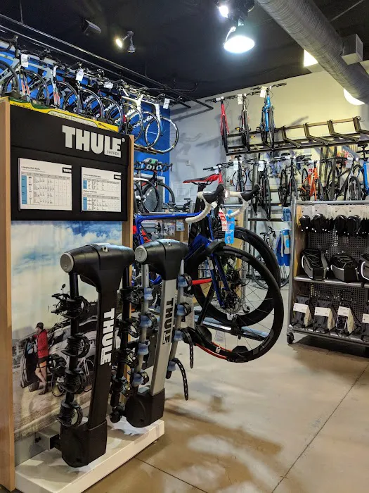 Trek Bicycle Folsom Picture 2