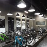 E Life Cycles