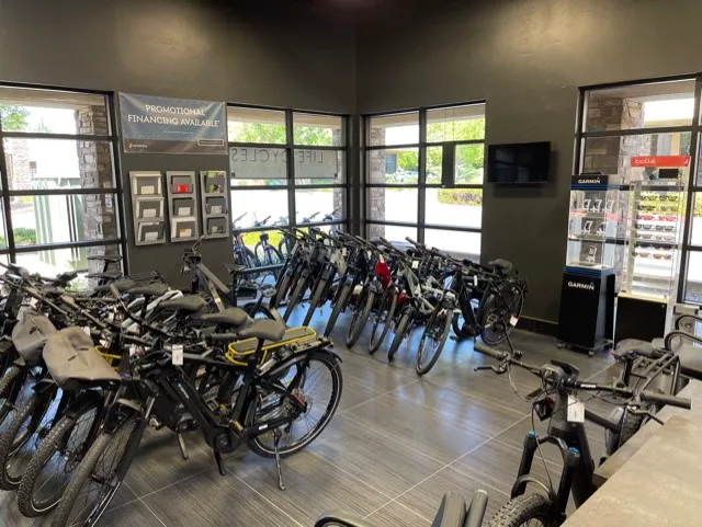 E Life Cycles Picture 8