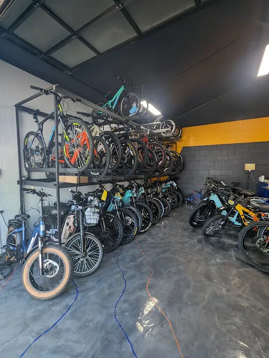 Bikes and Riders Picture 8