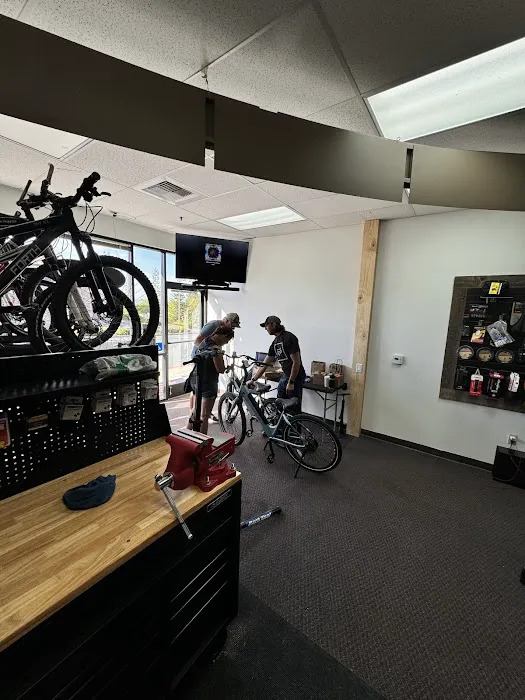 Lincoln Cyclery Picture 4