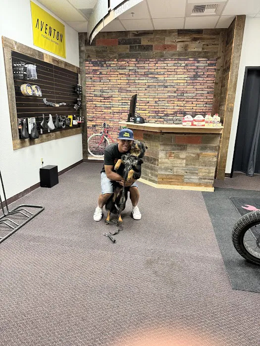 Lincoln Cyclery Picture 10