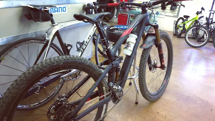 Bicycle Emporium Picture 1