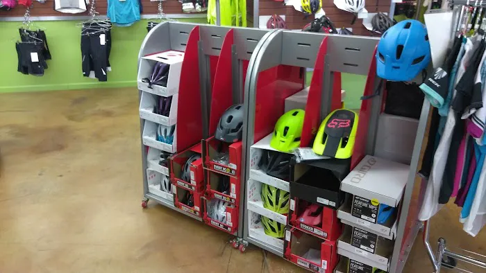 Bicycle Emporium Picture 7