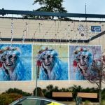 Atown Bikes, E-Bikes & Pickleball