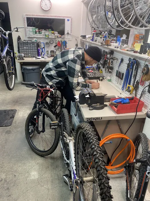 Rufus Cycles Picture 2