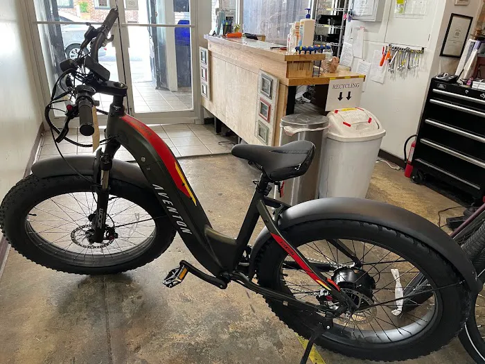 Ebike Nola Electric Bike Sales & Rentals Picture 1