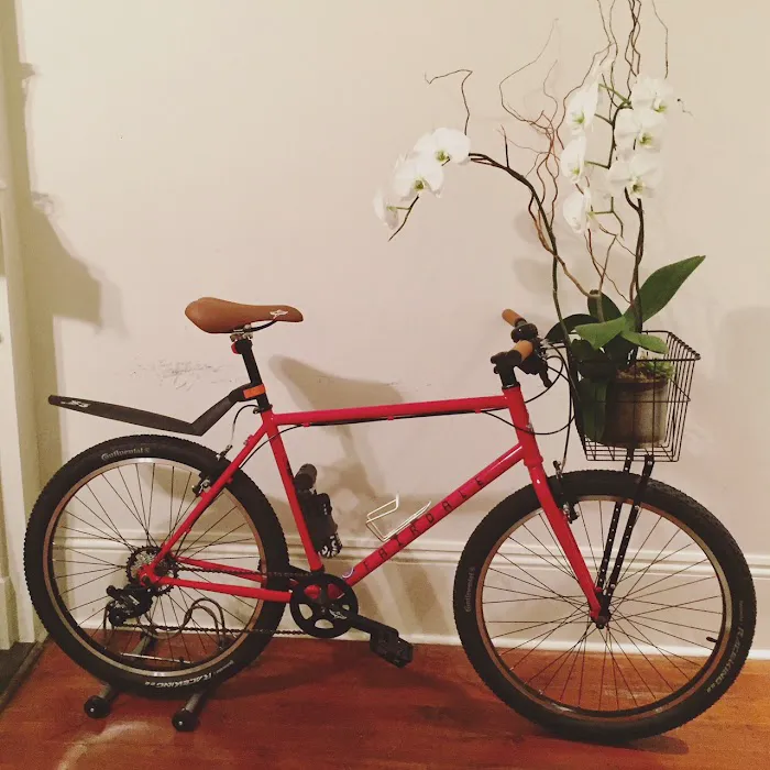 Alex's Bikes Picture 8