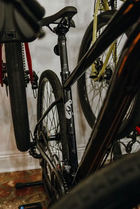 Dashing Bicycles Picture 7