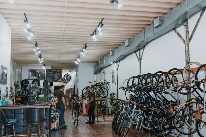 Dashing Bicycles Picture 9