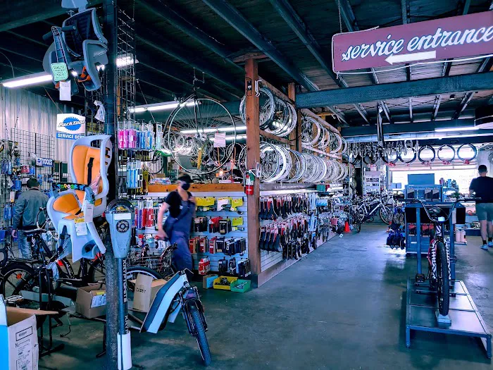 Bayou Bicycles Picture 6