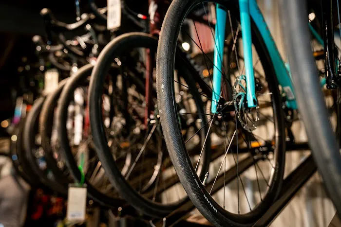 Bayou Bicycles Picture 9