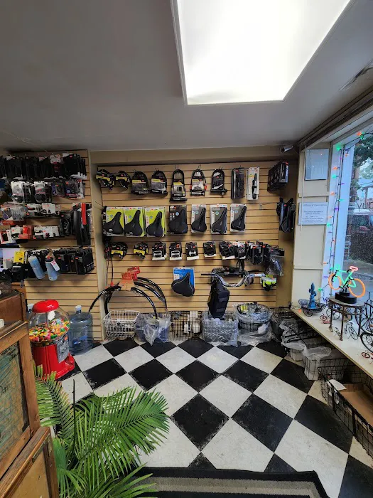 Mike the Bike Guy Picture 6