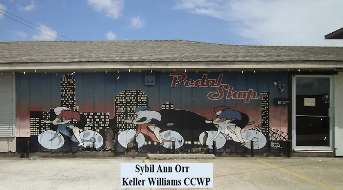 The Pedal Shop Picture 3