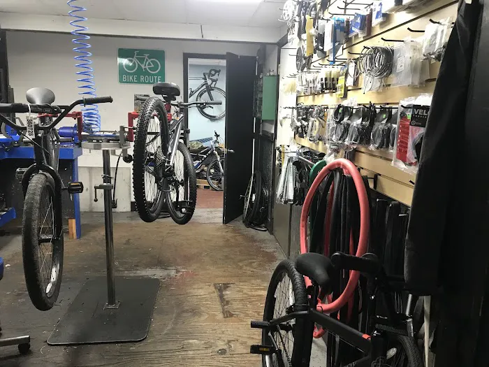 The Pedal Shop Picture 4